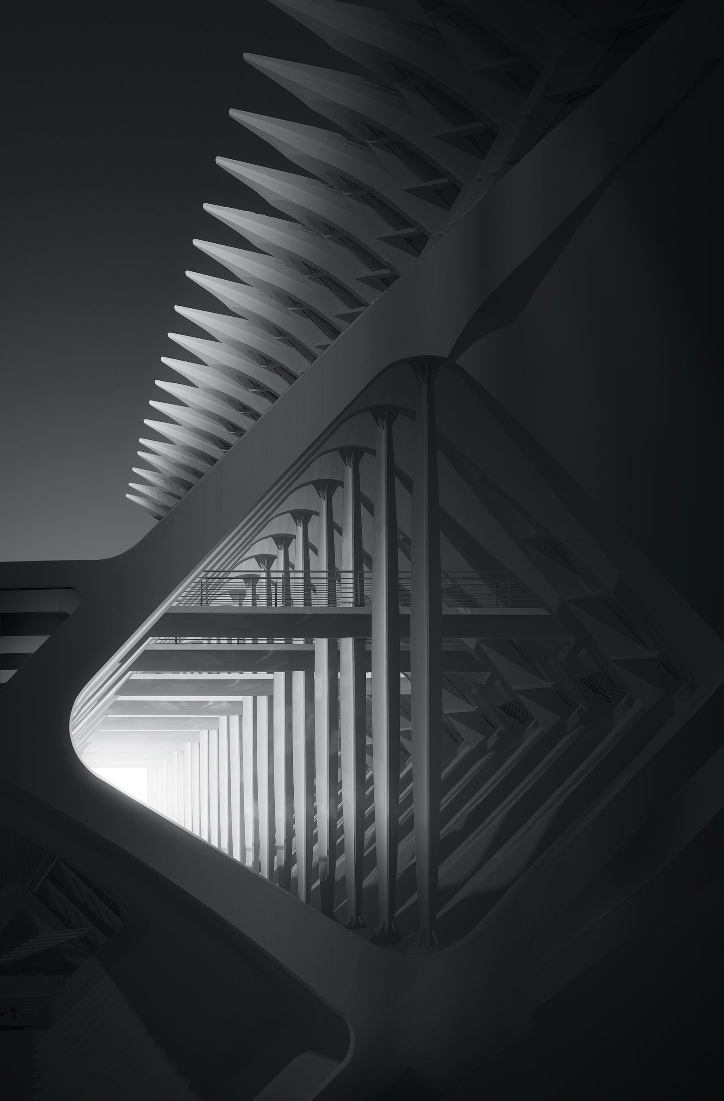 Fine-art architecture in black and white, a study of lines and volumes
